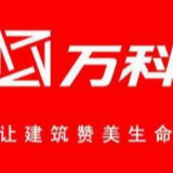 特惠“双十一” 万科9.9购房券享多重优惠