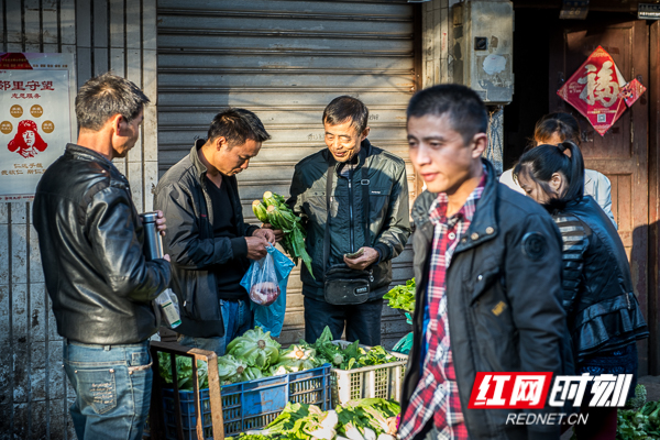 DSC_9292.jpg