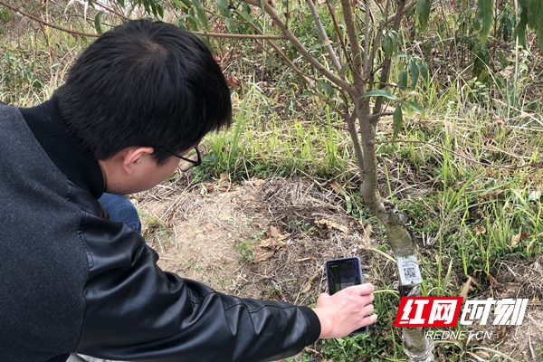 微信图片_20191111183636_副本.jpg