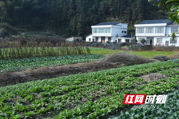 DSC_0121_副本.jpg
