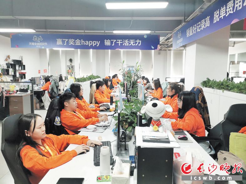　　长沙电商全力备战双11，图为西子电商工作人员与会员在线上互动沟通。长沙晚报全媒体记者 刘捷萍 摄