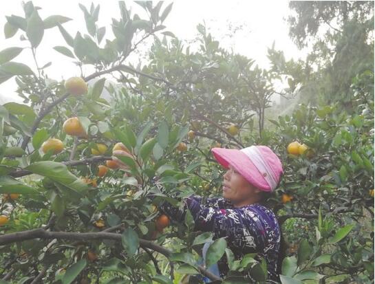 QQ截图20191112154234.jpg