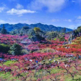 乡村画卷 艺苑奇葩——《上坪，可爱的家乡》赏析