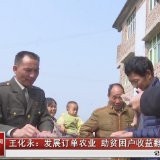 王化永：发展订单农业 助贫困户收益翻倍