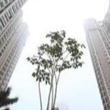 中央宣讲团在福建宣讲党的十九届四中全会精神