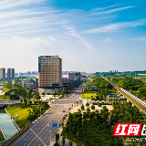 主题教育进行时 | 学思践悟走在前 笃行实干见真章