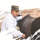 冒雪巡逻、处处“游击”，新时代的铁骑什么样？