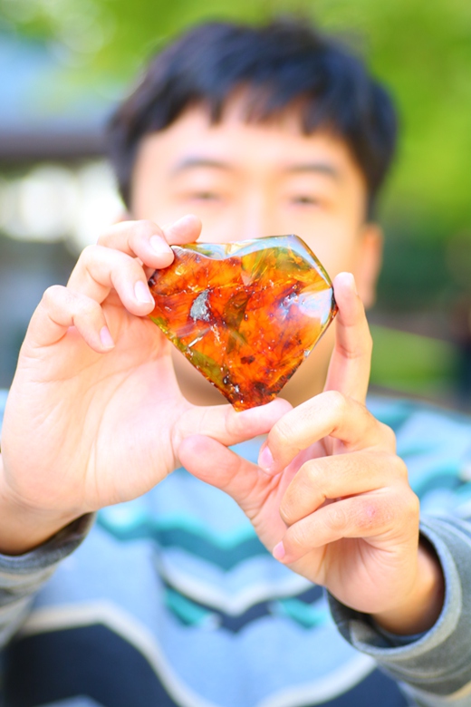 陈睿博士手持虾琥珀样本