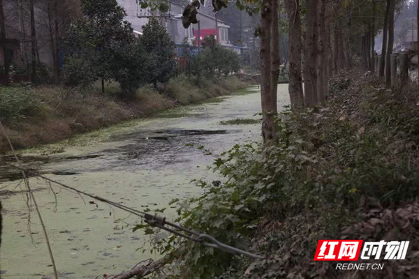 ????_20191112160025_??.jpg ????_20191112160025_??.jpg