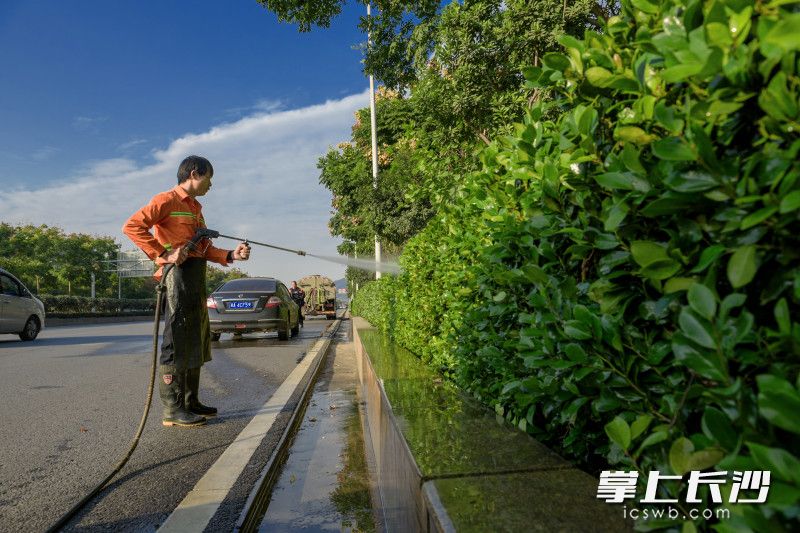 随车清扫员杨志双手持高压水枪，对绿化带进行“精洗”。