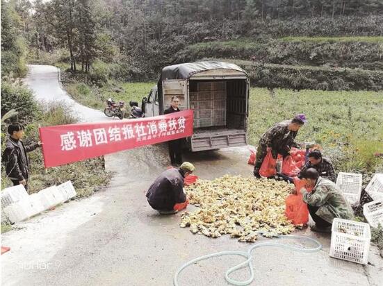 QQ截图20191112153743.jpg
