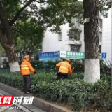 “清洁长沙”行动进行时 长沙市雨花区多举措促推城市洁净