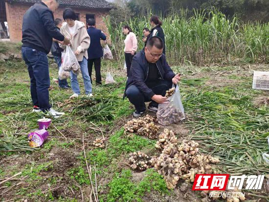 慈利县岩泊渡镇中学用主题教育助推“精准扶贫”