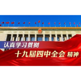 省直各部门传达学习十九届四中全会精神