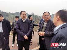 张家界：持续改善农村人居环境 不断提升百姓幸福感