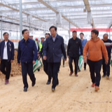 吴志雄深入冷水滩区开展主题教育专题调研