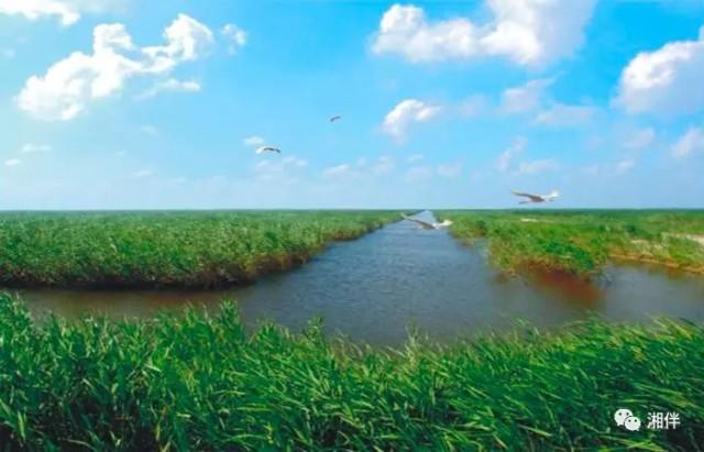 守护“母亲湖”！洞庭湖综合治理“施工图”来了
