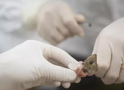 QQ??20191113090302.jpg QQ??20191113090302.jpg