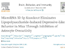 最新研究成果：miRNA-32-5p为高效抗抑郁药物研究提供新思路