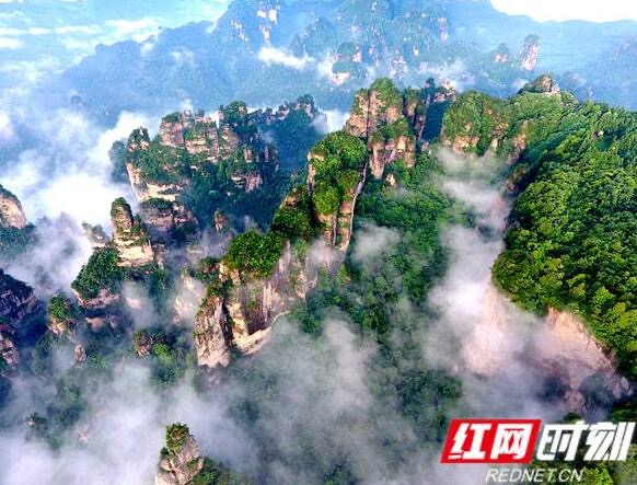 微信图片_20191115153916.jpg