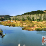 冷水滩区：“四好农村路”带领乡村奔富路