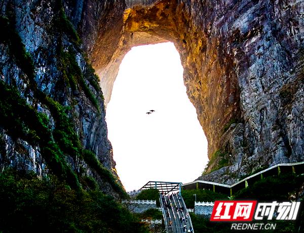 刘波摄 (10).jpg