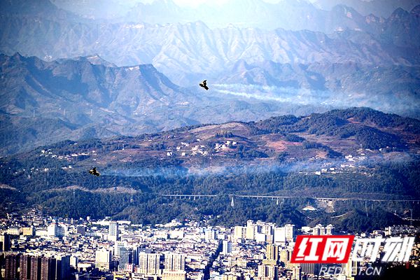 张雪琴 (1).jpg