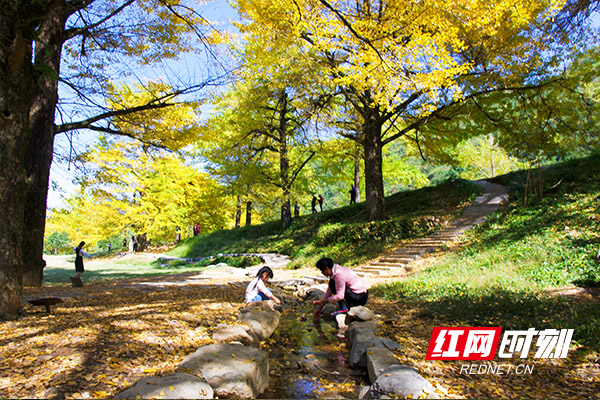 双牌县茶林镇桐子坳村入选2019年中国美丽休闲乡村