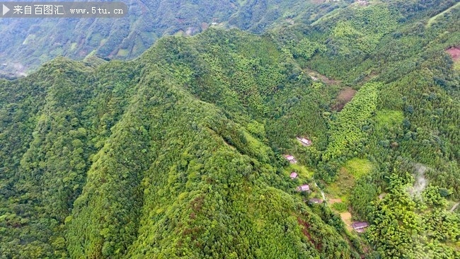 唐庭辉：大山深处 28载春秋