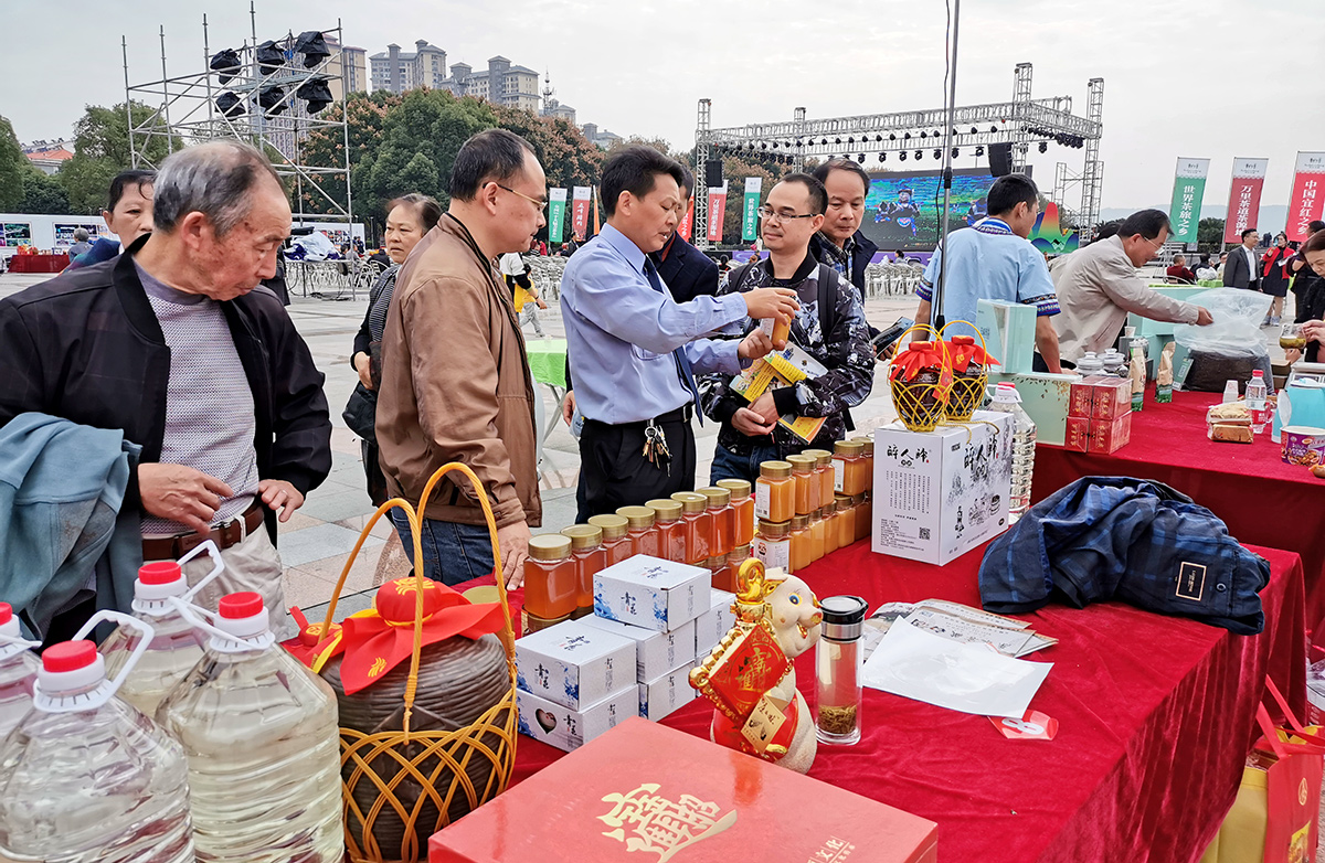 IMG_20191116_104335.jpg IMG_20191116_104335.jpg