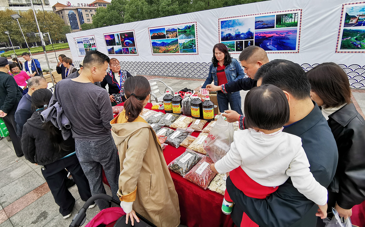 IMG_20191116_104104.jpg IMG_20191116_104104.jpg