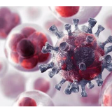 提醒丨为什么有人本来没事,查出癌后很快就死亡?