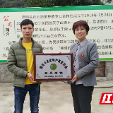 省名优特产商贸协会考察团赴隆回调研油茶情况