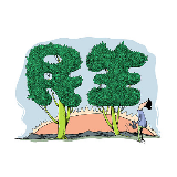 我国将10种主要的儿童血液病、恶性肿瘤病种纳入救治管理和保障体系