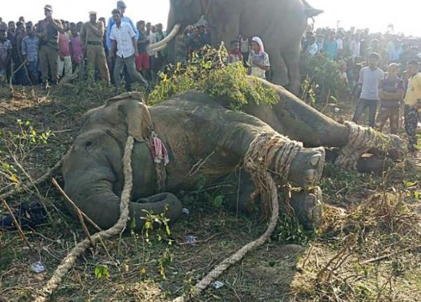 1574036508572649.jpg 1574036508572649.jpg