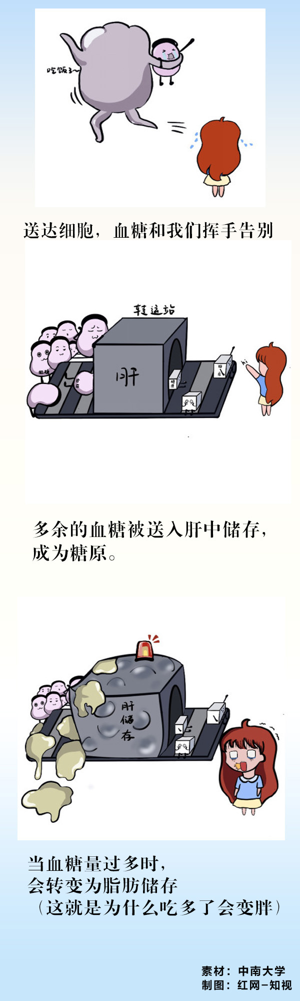 糖尿病3.jpg