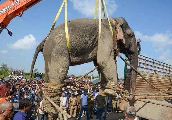 1574036484413343.jpg NDTV.jpg