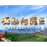 《崛起的园区》——望城豆制品飘香海外 引外国友人点赞
