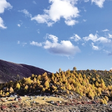 数字潮起 川蜀潮生