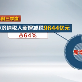 前三季新增减税降费17834亿 民营经济纳税人受益最大