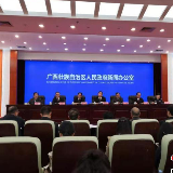 6名厅官被立案 广西扫黑除恶查扣涉案资产46.4亿
