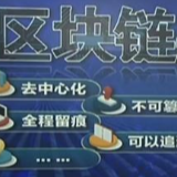 静态+动态奖励、建设分红、月入数万？这些伪“区块链”骗局要当心！