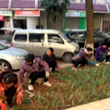 补栽绿意靓化家园 优美环境助力“蓝天白云”