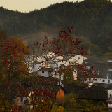 皖南秋色大爆发 古村落处处是景