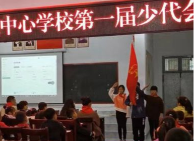 永定区阳湖坪街道中心学校召开第一届少代会