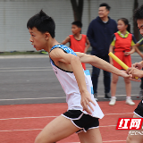 荷塘区教育局举办第二十三届中小学生阳光体育运动会