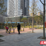 邵阳市北塔区田江街道：开门抓教育 群众更满意