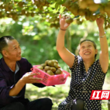 城步:激发党建活力助推脱贫攻坚