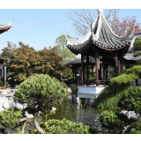 【乡村振兴在行动】生态“沃土”培植乡村“摇钱树”