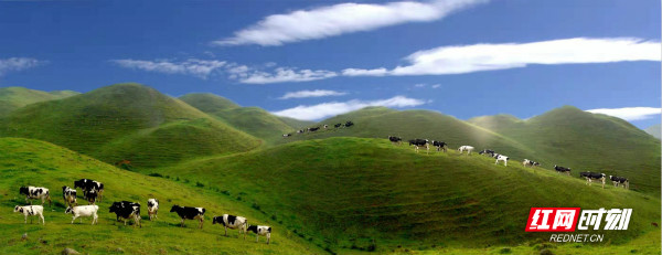 ????_20191120170833_meitu_7.jpg ????_20191120170833_meitu_7.jpg